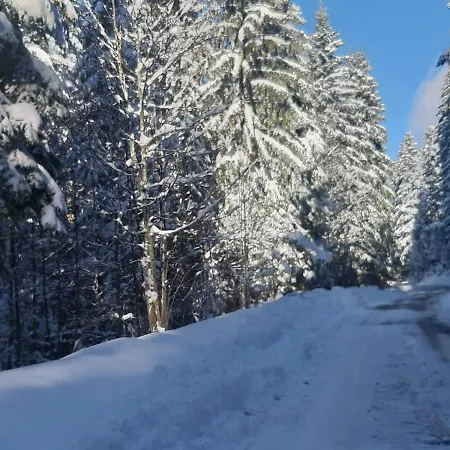 بيت للعطل Tisina Tare