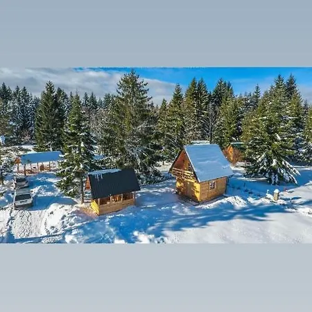 Tisina Tare * باغينا باستا