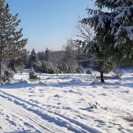 Tisina Tare Vakantiehuis Bajina Basta