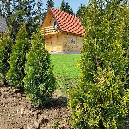 Tisina Tare Bajina Basta