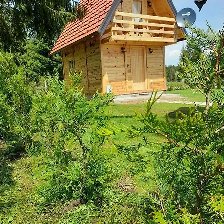 Tisina Tare Bajina Basta
